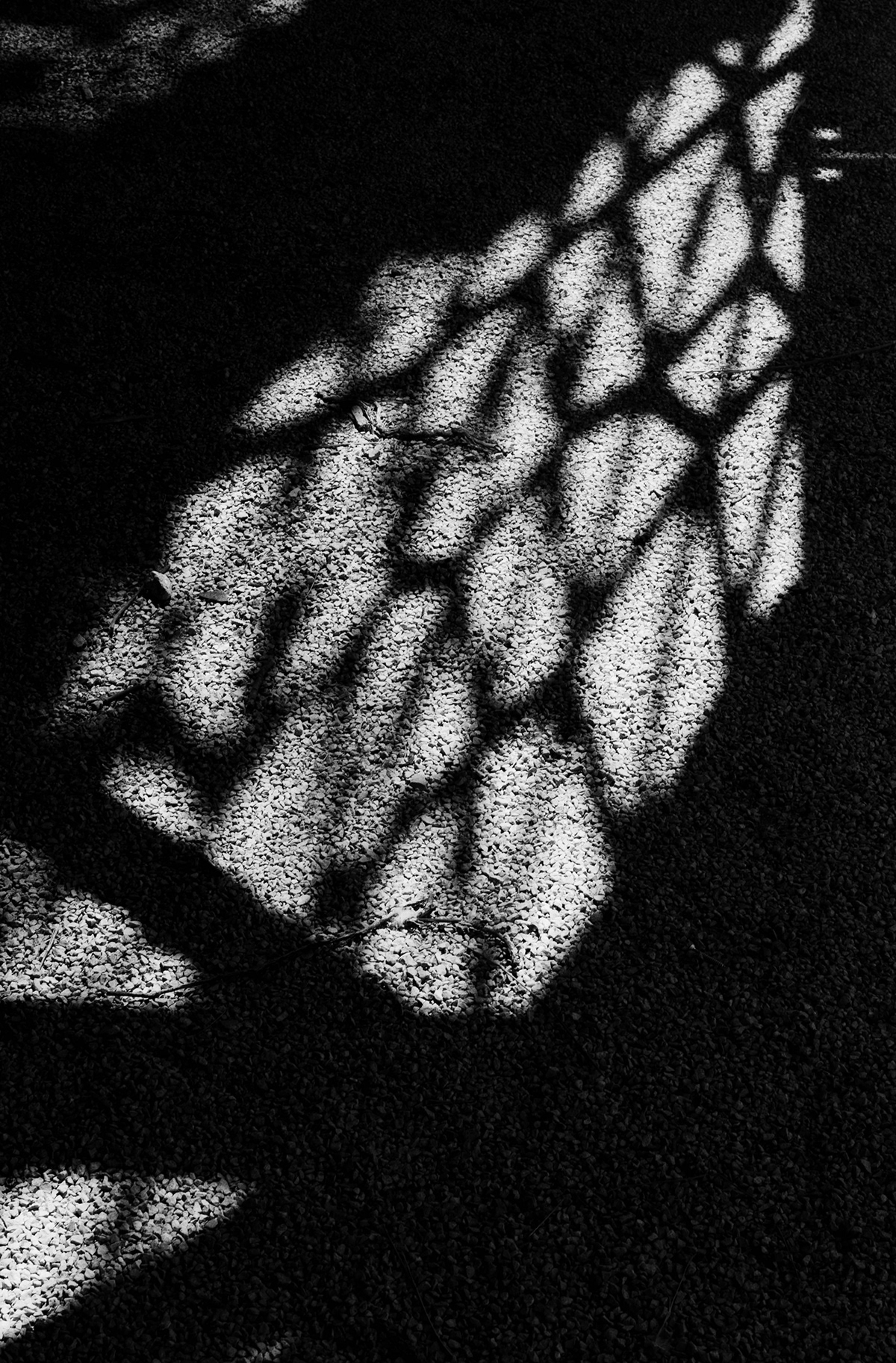 light beautiful light black and white shadow darks highlights skin discovery geometry lines texture Provence france light of provence lacoste