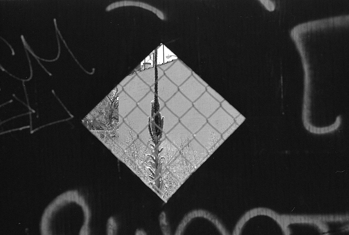 Brooklyn 35mm film photography analog Bushwick black and white