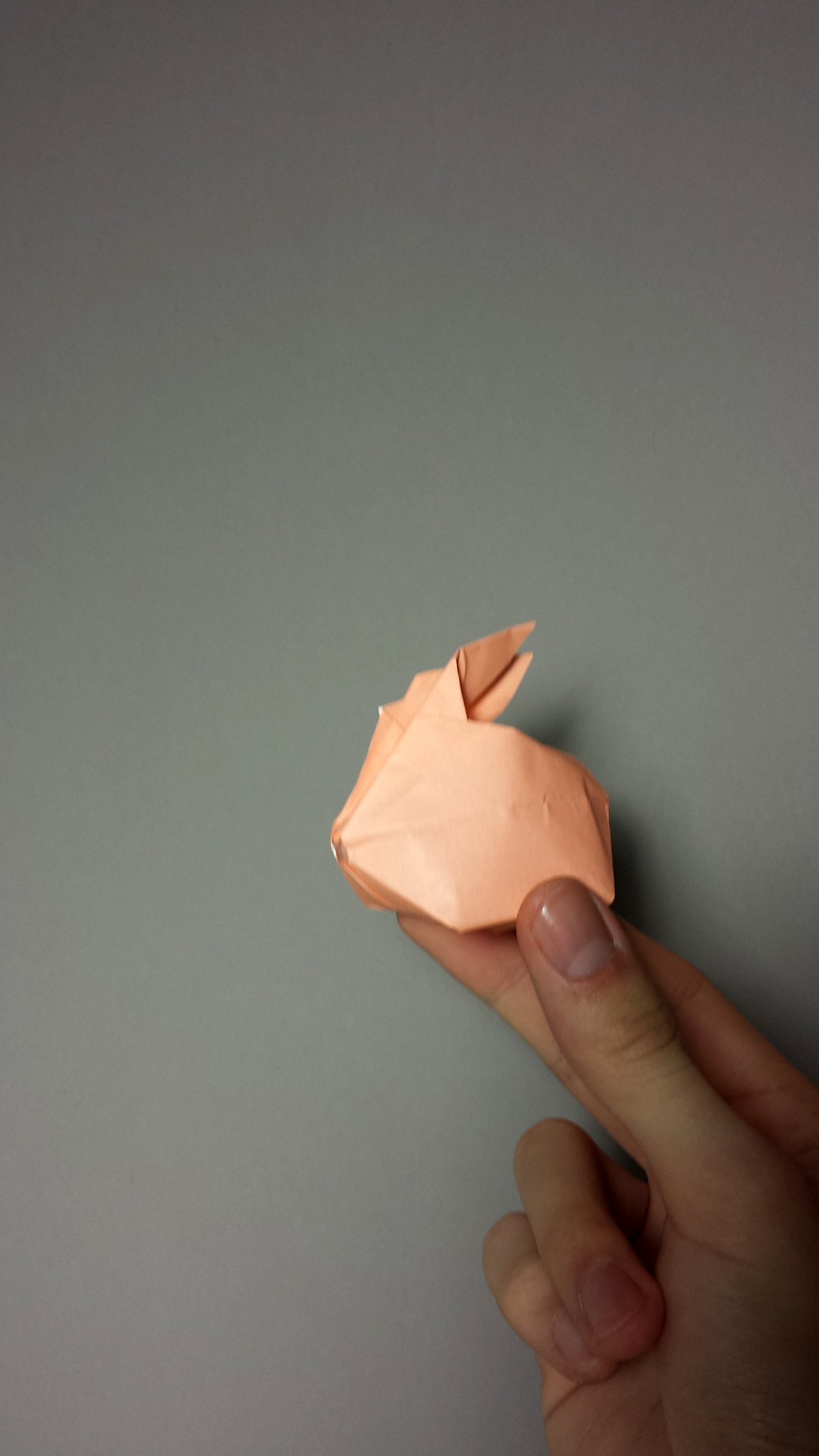origami  Time Lapse 1 handed philadelphia university