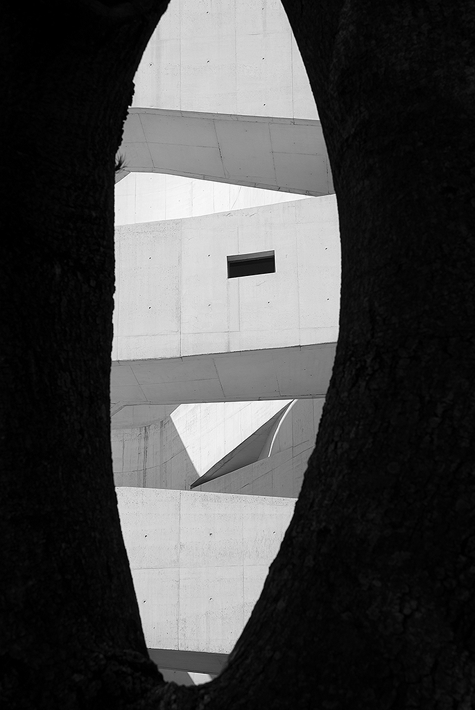 iberê camargo porto alegre architecture Alvaro Siza museum art documental