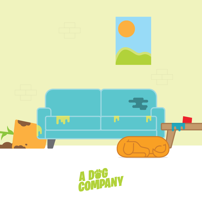 dog Socialmedia illustrations ilustraciones perros veterinaria flat design Icon gif