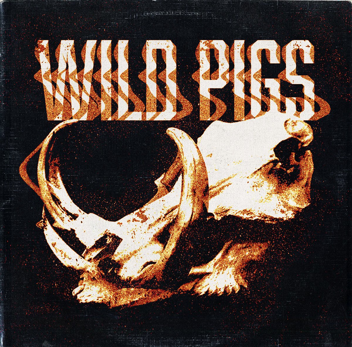 wild pigs Glitch photoshop cover vynil disc music