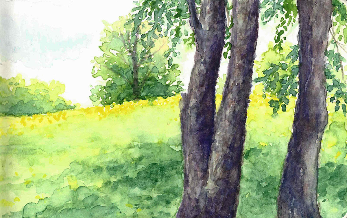 watercolor Landscape trees hills summer home