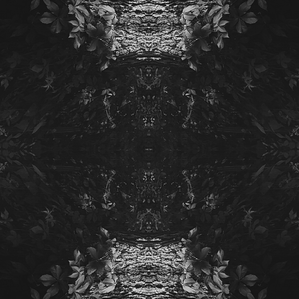 Patterns sacred geometry symmetry Photography  photo editing digital