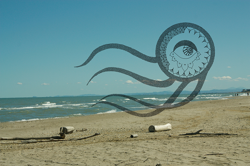 Seaside jellyfishes bliss soul Pineta
