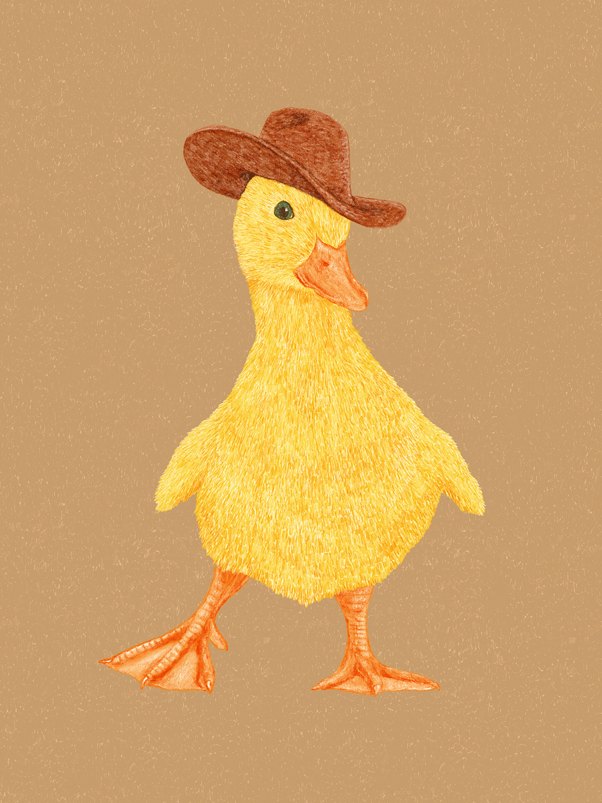 duck cute cowgirl stetson hat cowboy western wild west Retro duckling