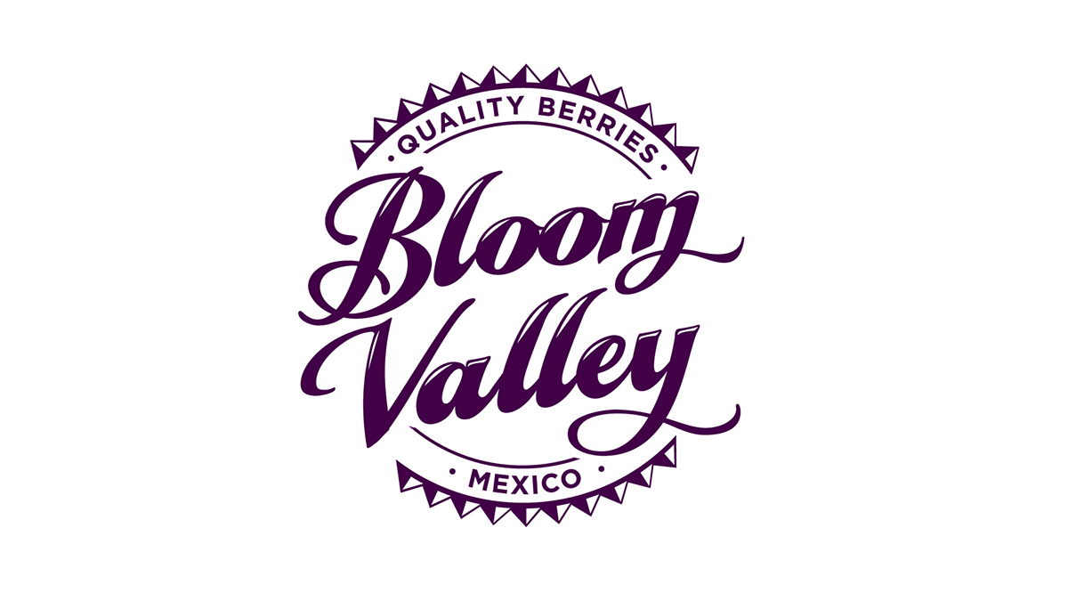 todo moda logo Isologo brand argentina buenos aires bloom valley brands marca marcas logotypes logotipos 