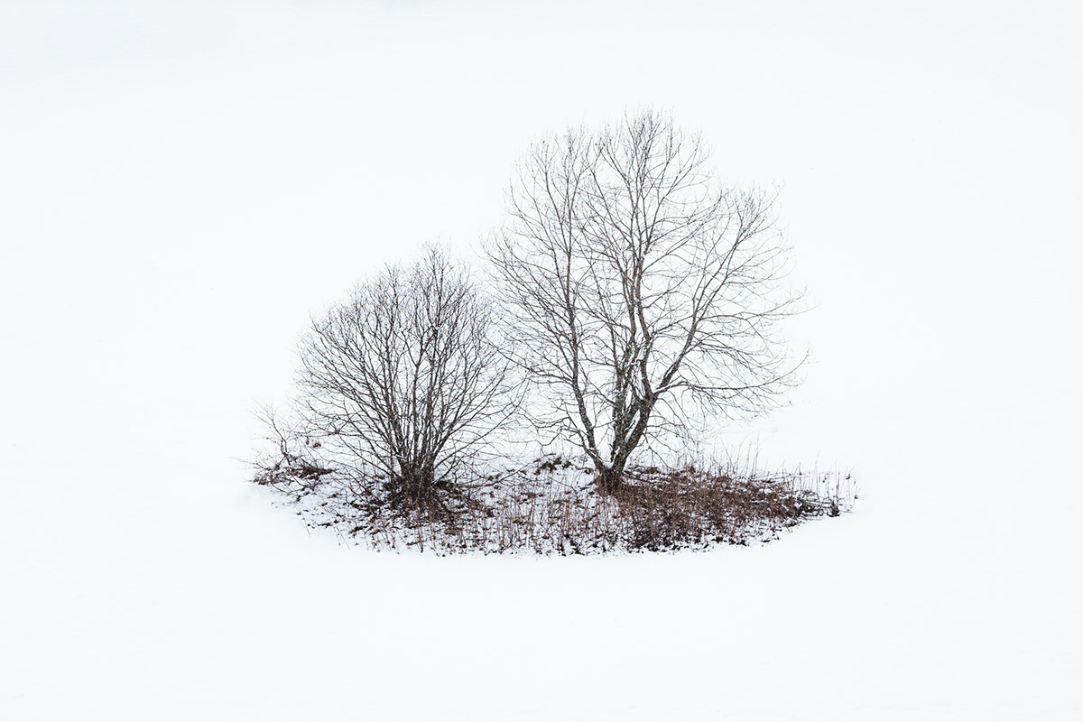 snow winter White Landscape Minimalism Outdoor minimalistic reduced cold series