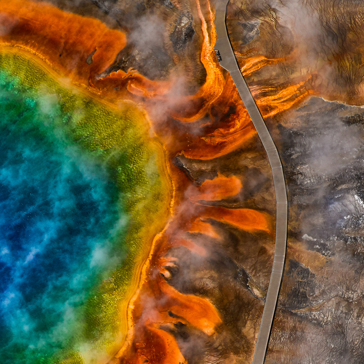 aerial forest photos aerial national parks Fine Art Aerial images Fine Art Photographs flying over yellowstone Grand Prismatic Spring Mitch Rouse Aerials snowy yellowstone wyoming national parks Yellowstone National Park