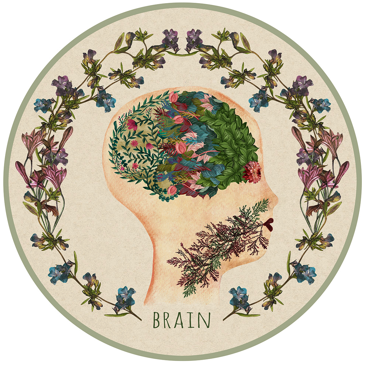 body brain breast Nature floral vegetation Flowers medicine Health