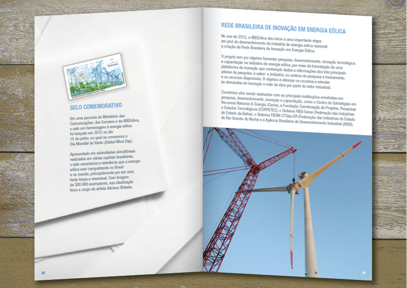 Relatório Anual energia eolica eolic energy annual report book box Livro luva