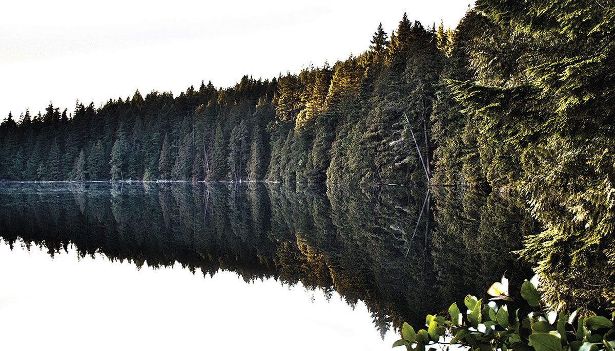 Nature Buntzen Lake bc Port Moody Canada profile model shot photoshop aperture