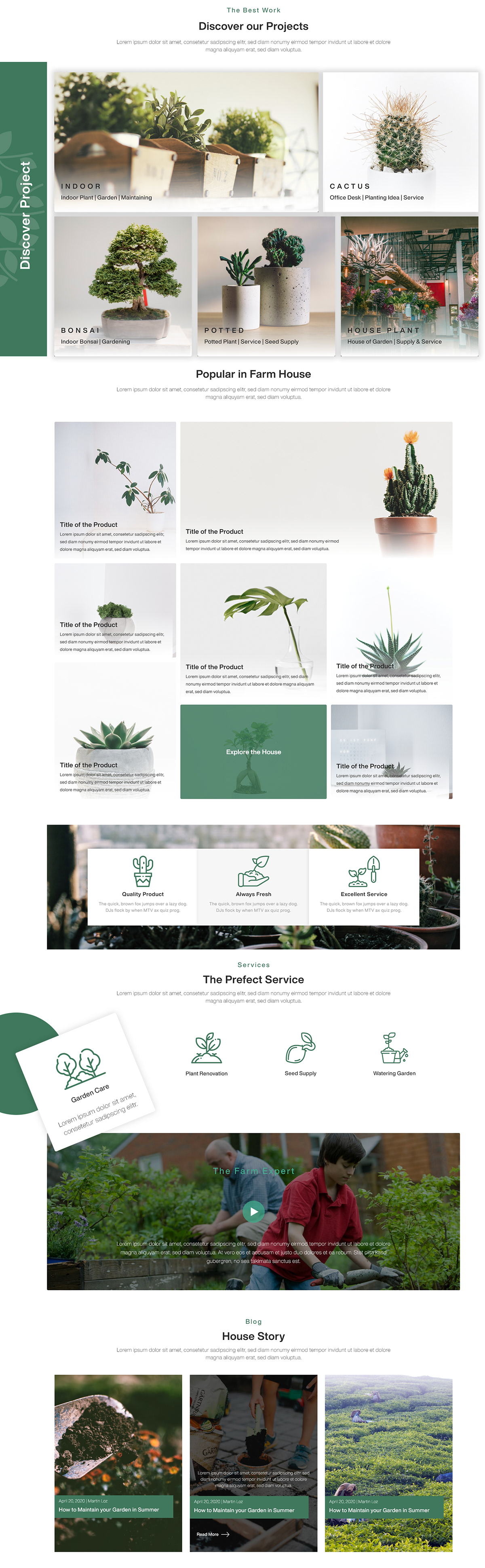 branding  design farm house graphic design  mocks plants product design  UI ux Website