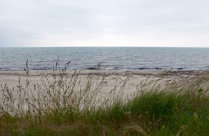 Skåne  sweden  seascape beach stormy