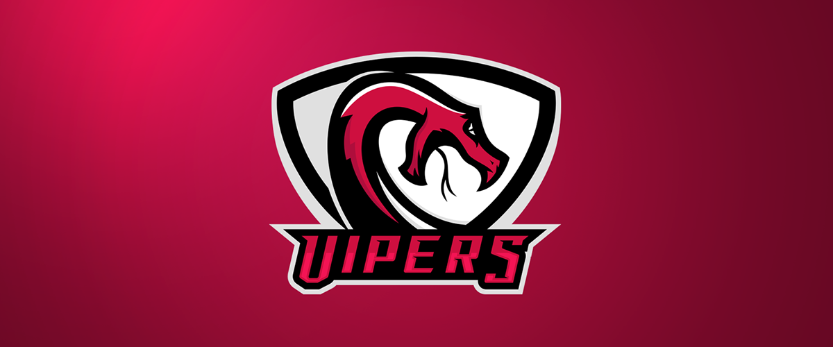 vipers snake serpent logo sport design Mascot football basketball NBA team concept vector matthew doyle