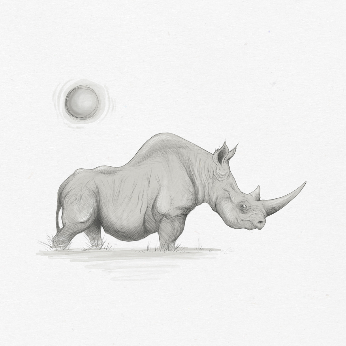 Adobe Portfolio photoshop animals Spirit Animal sketchbook pencil Digital Art  wildlife Nature Drawing 