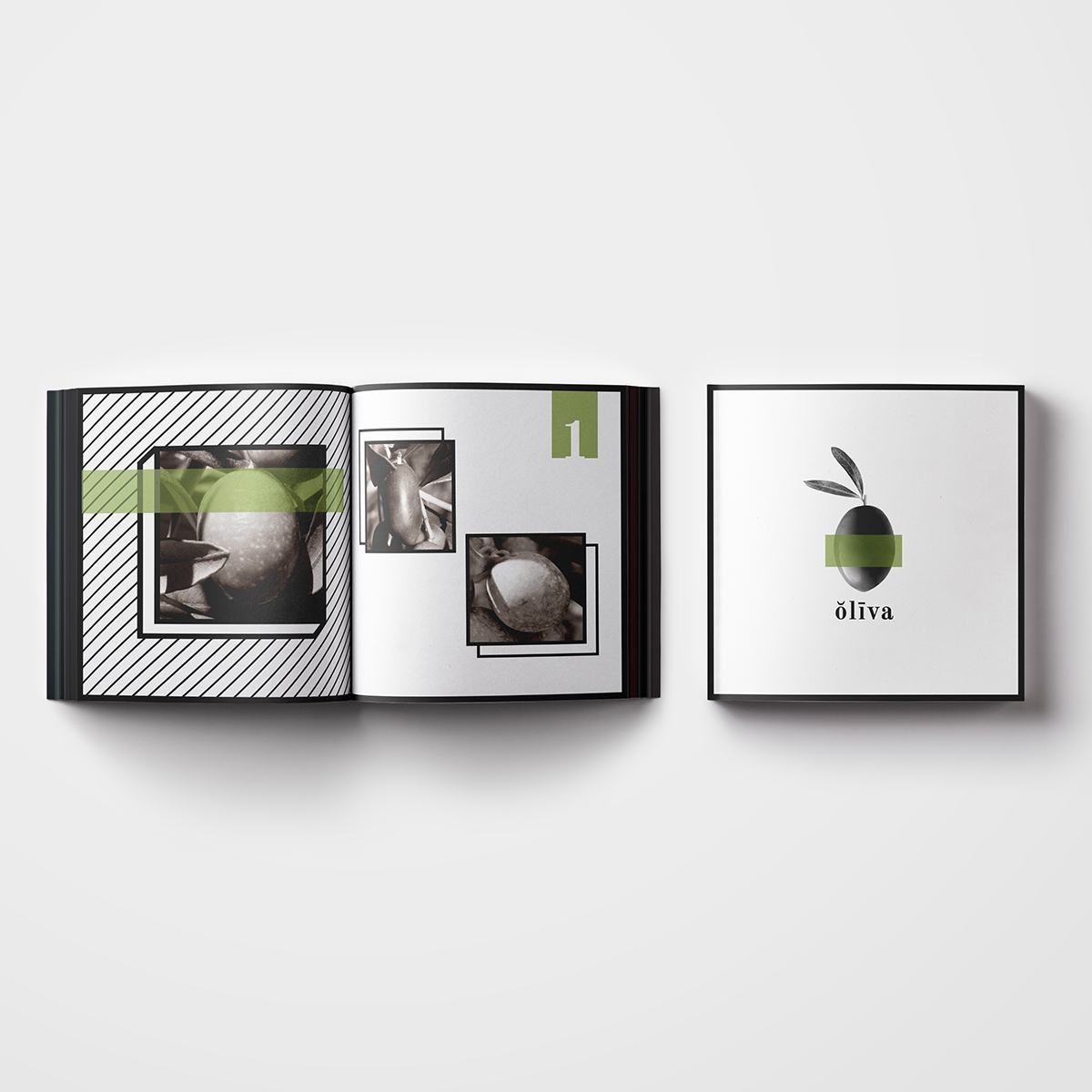 olive olives branches leaves photo photobook book Editing  graphic design  design