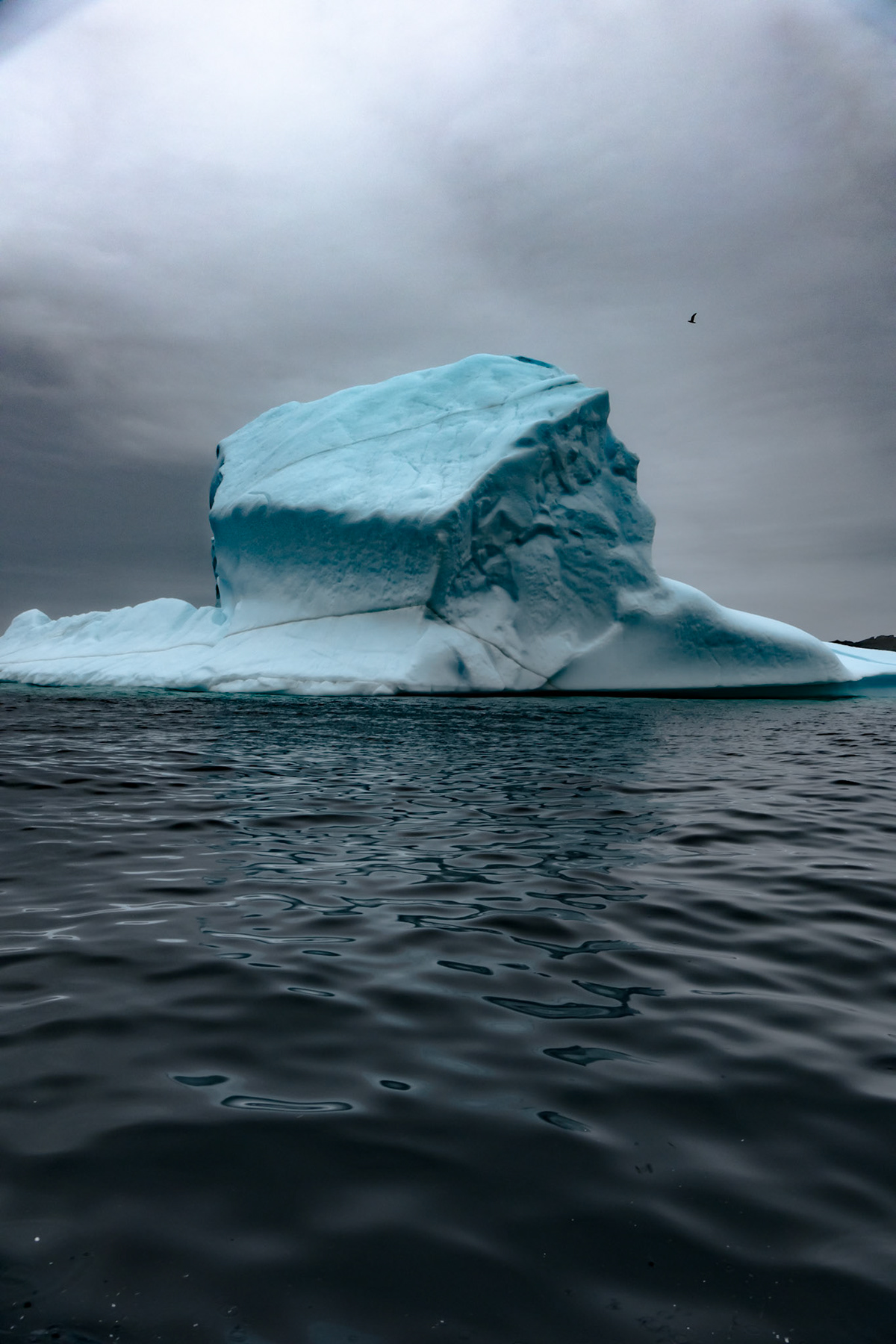Newfoundland iceberg Canada leica q2 Nature