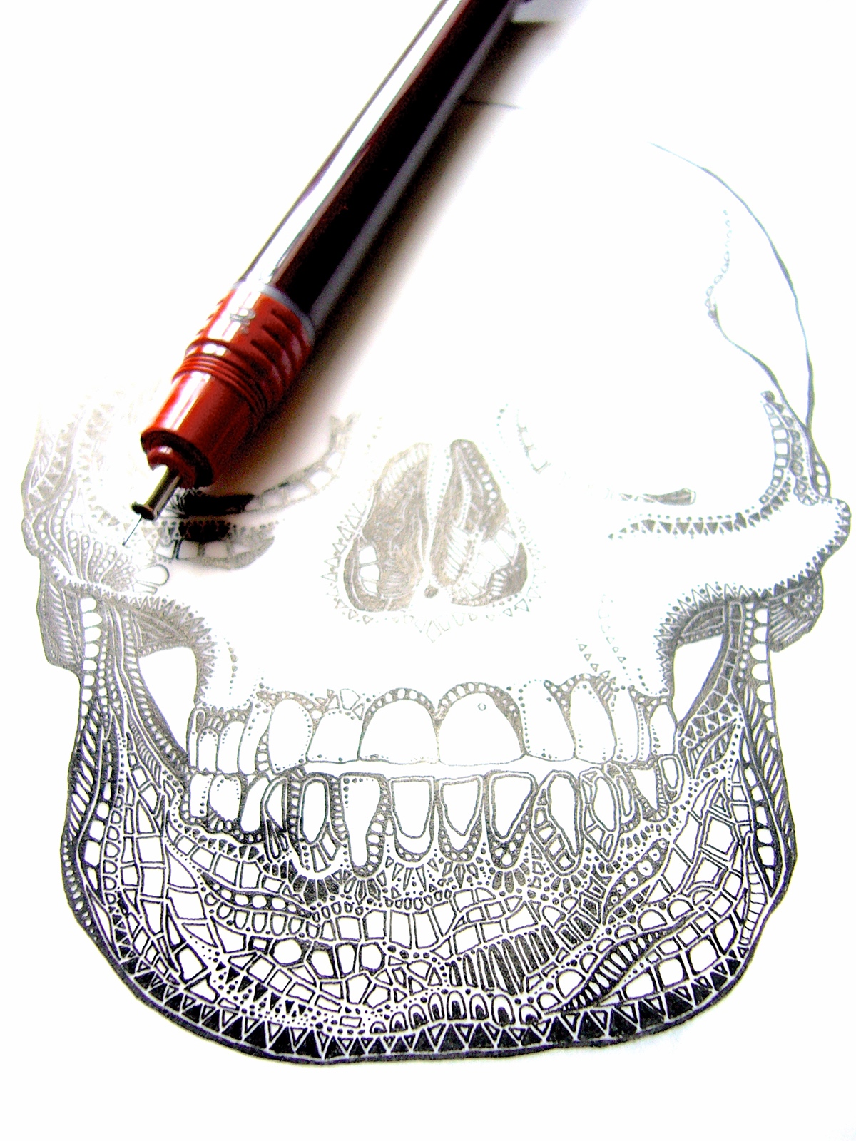 art pen drawing ink drawing skull skeleton bones pen and ink black and white monochrome gothic pattern print design detail teeth