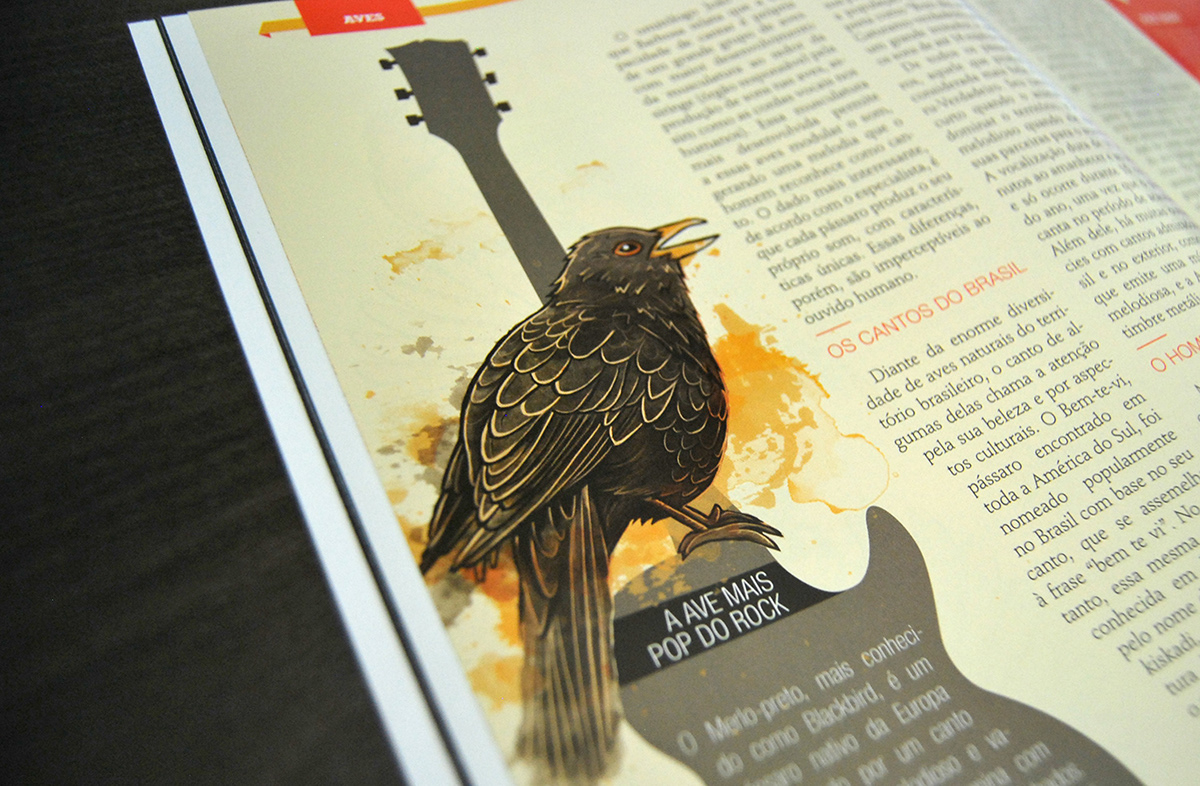 birds Flying revistamundodosbichos mdb editorial magazine