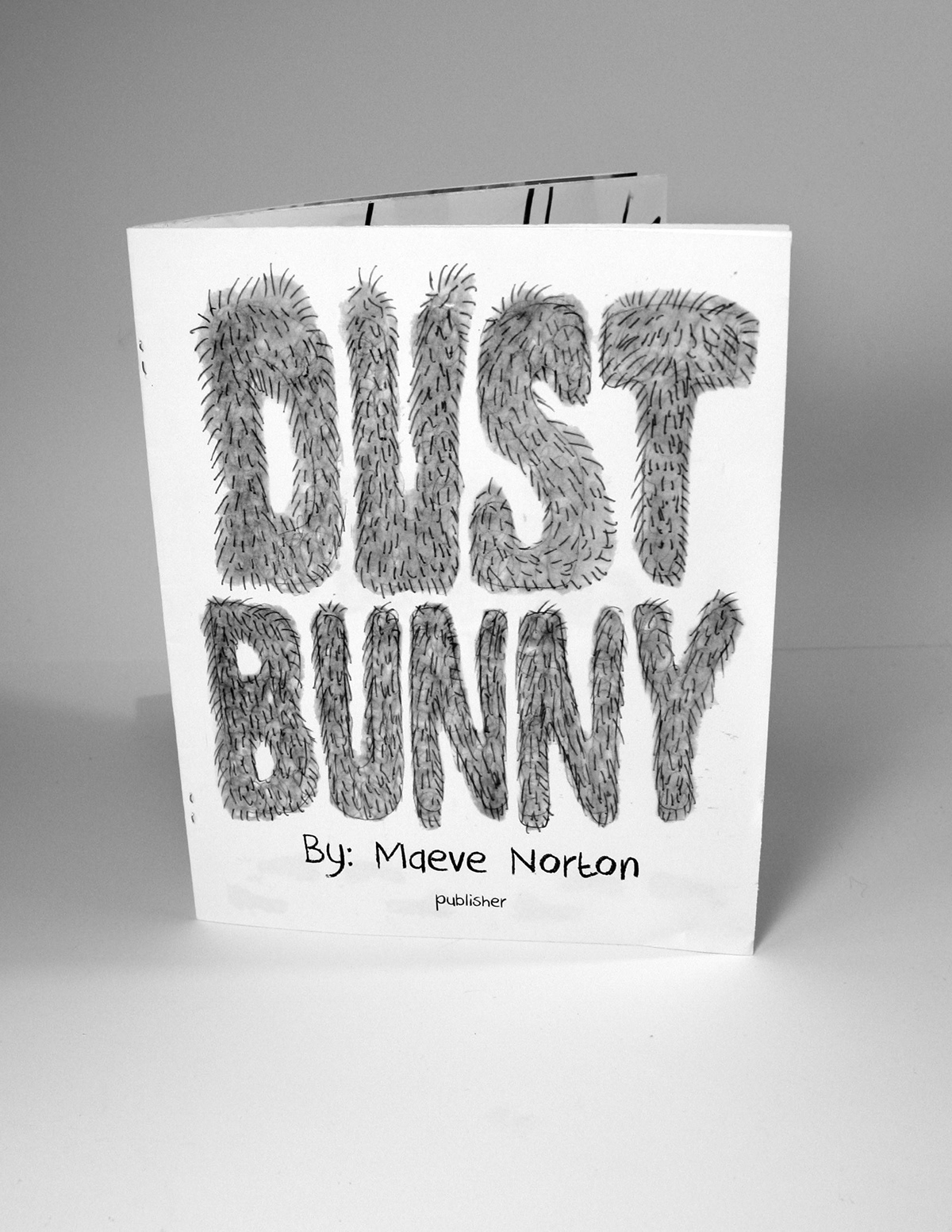 maeven Maeve Norton Pratt Institute dust bunny Picture book childrens book bunny book design books