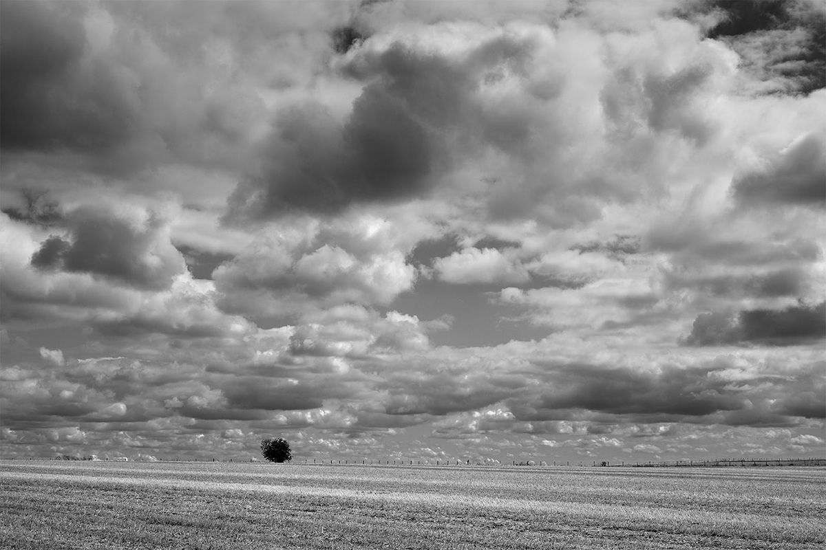 Landscape Nature Travel clouds monochrome black and white farm agriculture field SKY
