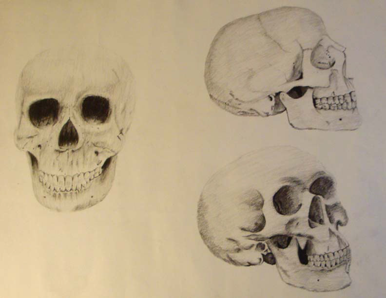 charcoal drawings skeleton skulls feet dad woman self portraits