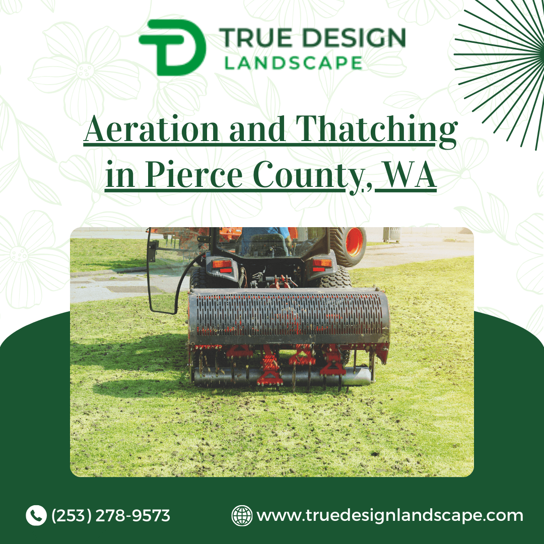 Aeration And Thatching In Pierce County Washington