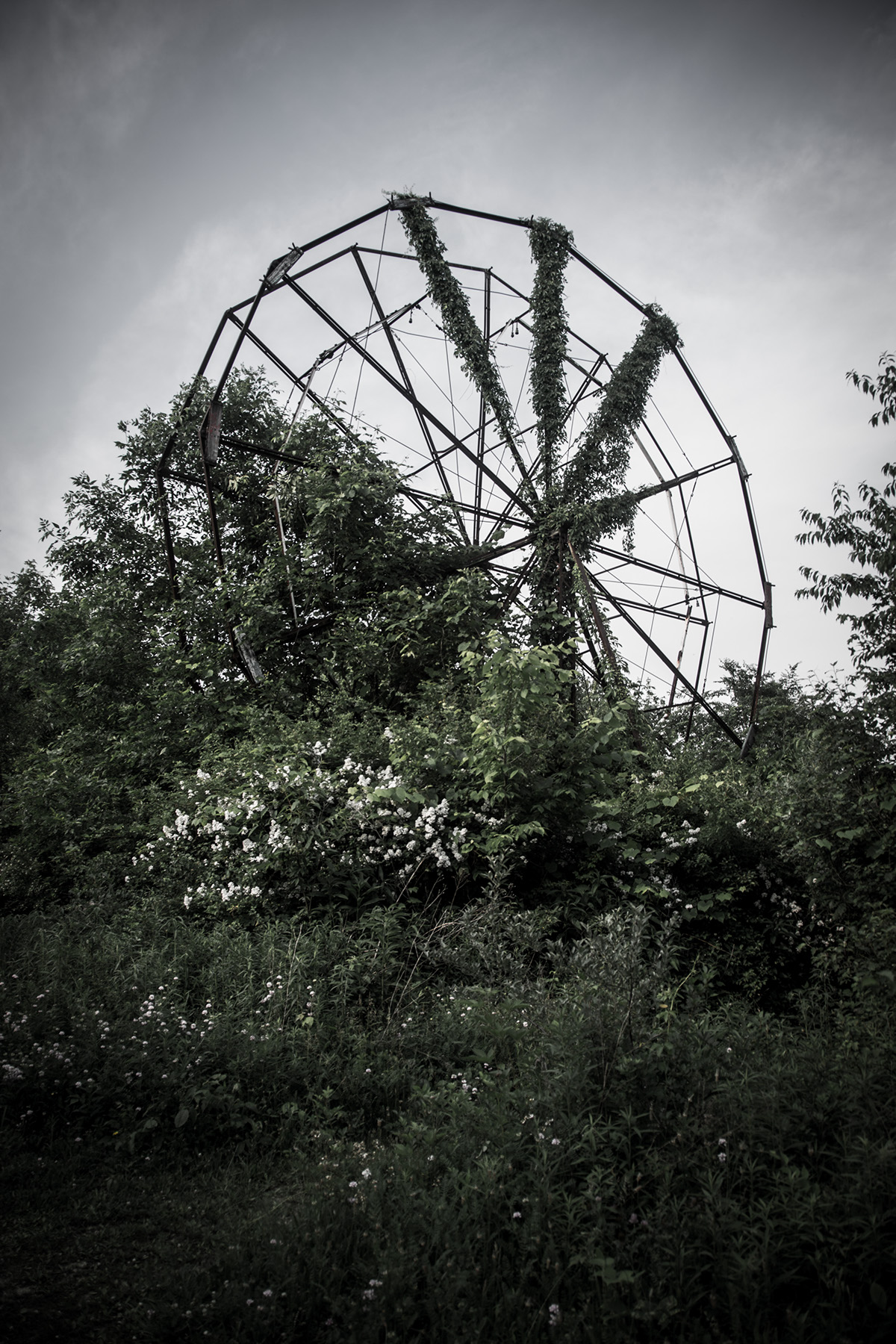 amusement park abandoned decay over growth chippewa lake Park