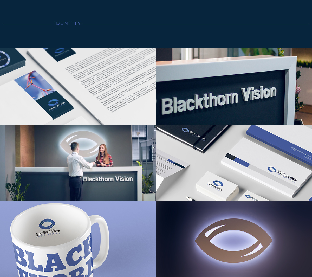 logo brand eye black vision blue design corporate ID Thorn IT development develop