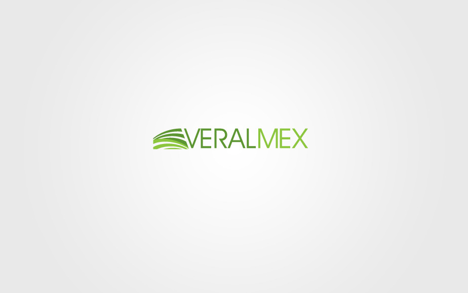 logo Logotype brand Logowork monterrey mexico Latin america Latin America