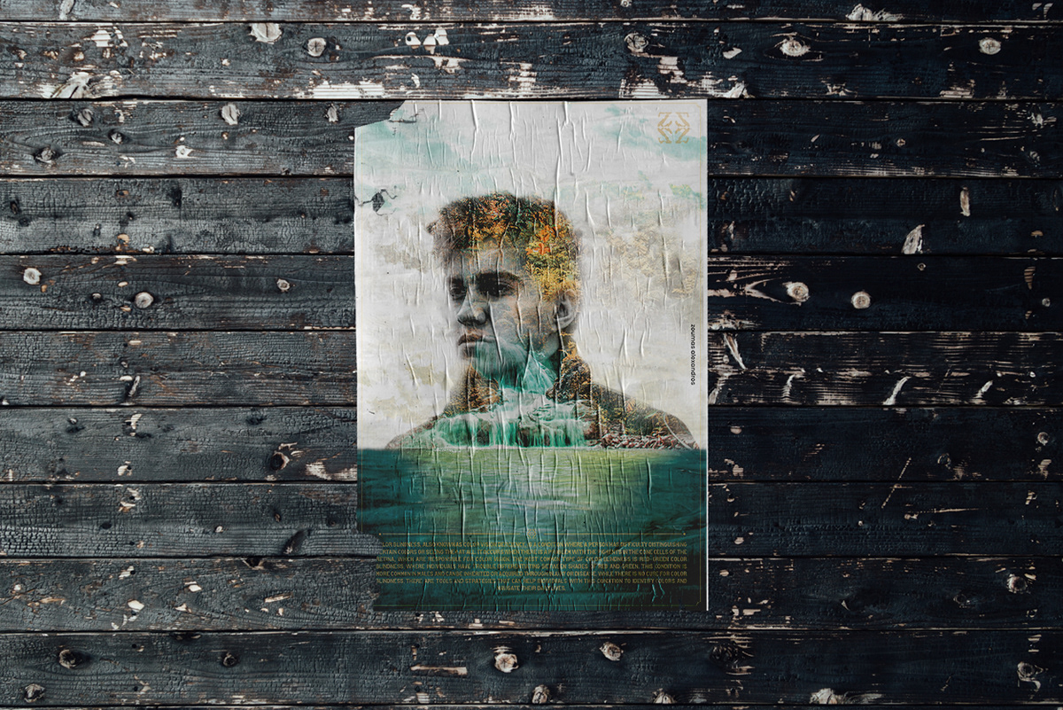 double exposure Nature poster Poster Design water color colors model colorblind Colourblind