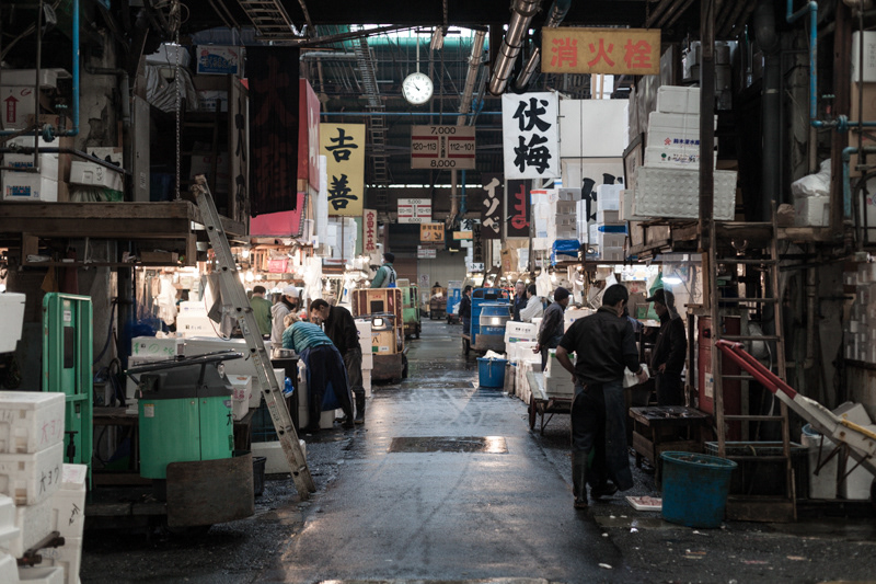 tokyo fishmarket fish market japan Work  place