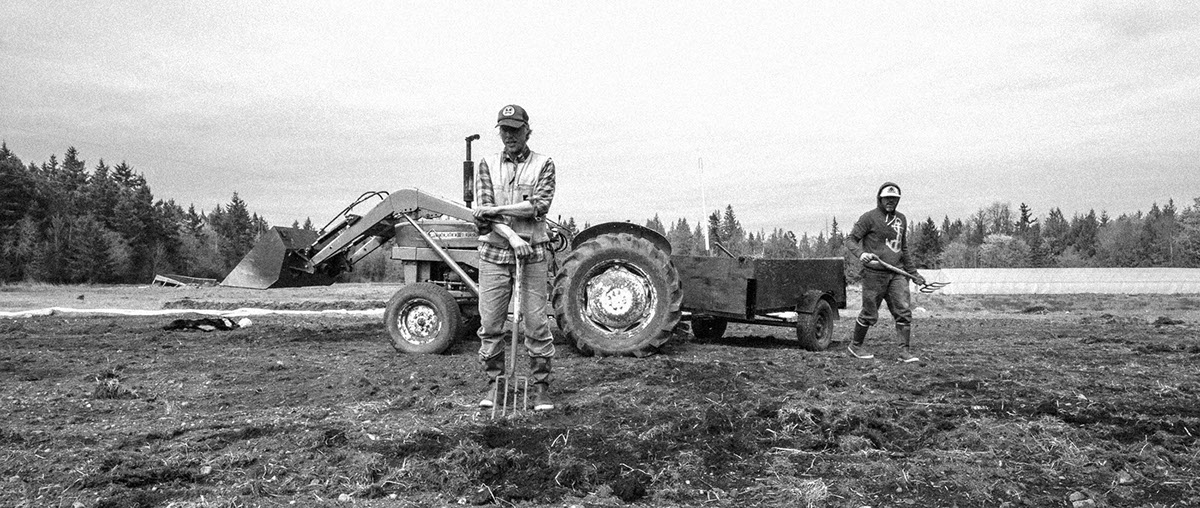 farm organic agriculture CSA