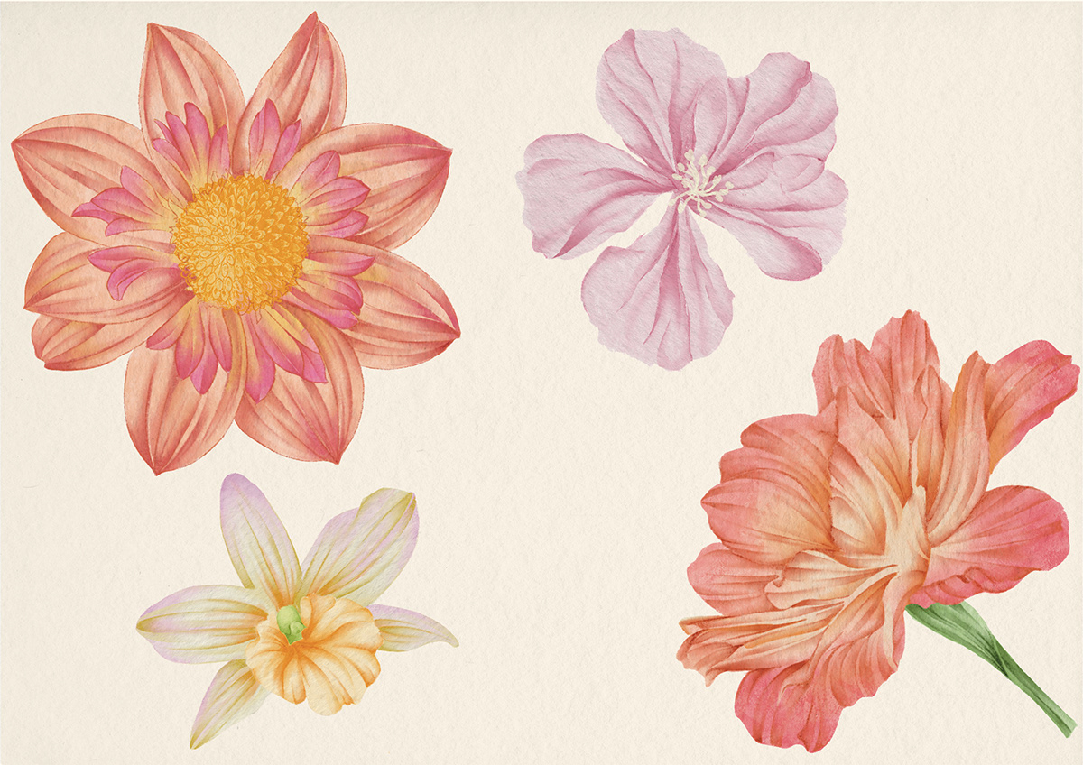 scarf pattern textile artwork Drawing  Flowers Procreate photoshop surface design ILLUSTRATION 