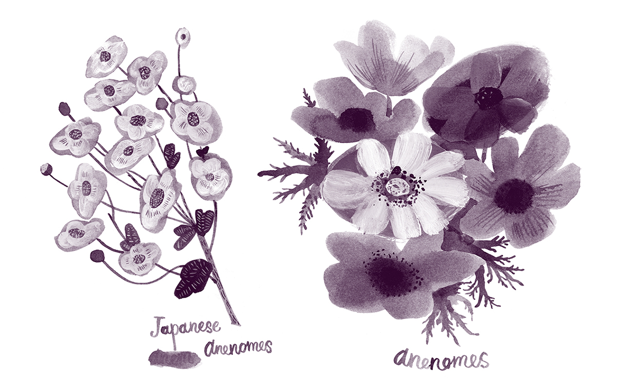 botanica Nature Flowers natalya balnova purple ink and paper HAND LETTERING