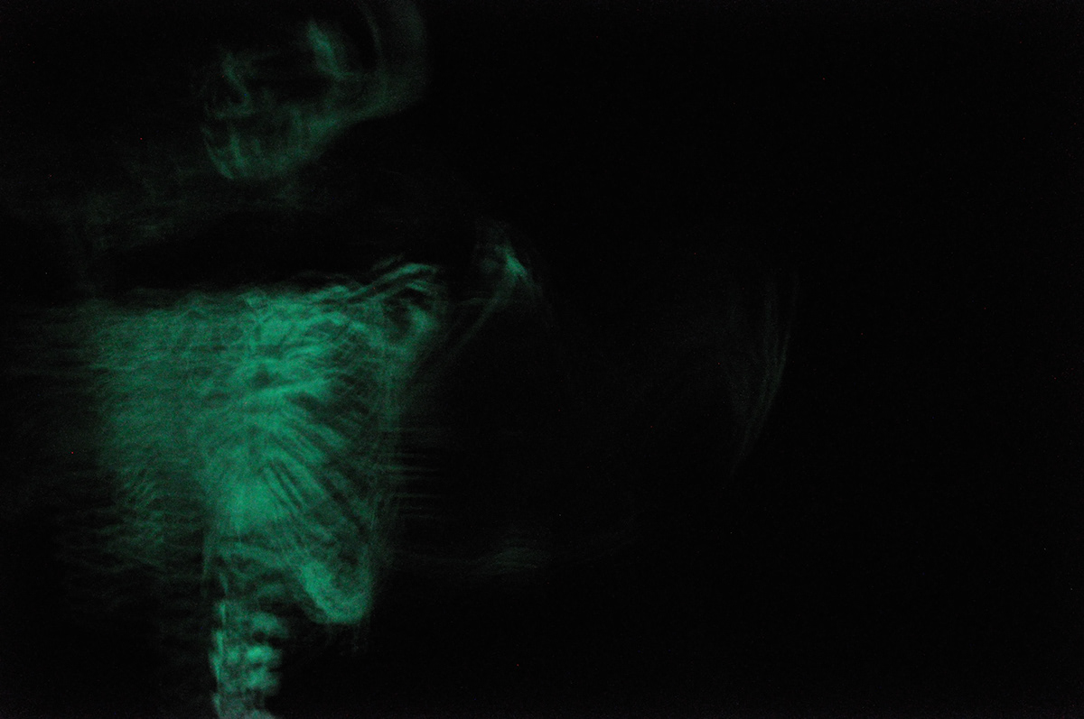 skeleton glow in the dark green