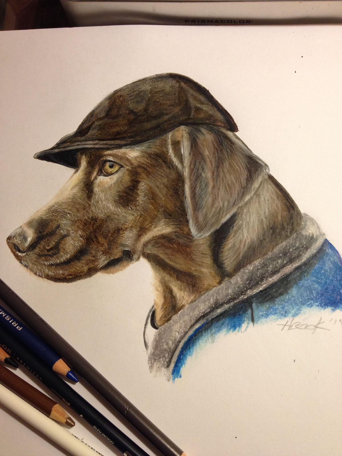 coloured pencil art dog fine art