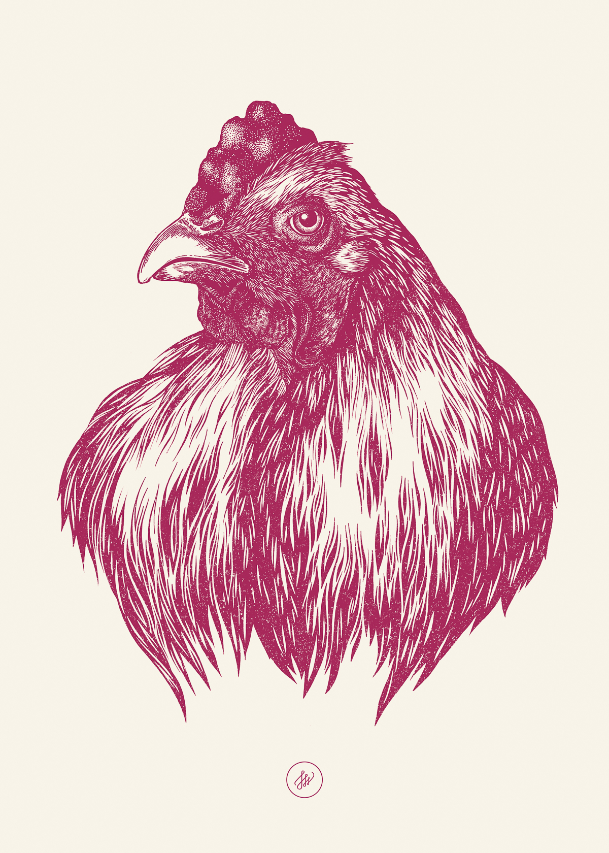 hen ink bird illustraton etching chicken poultry