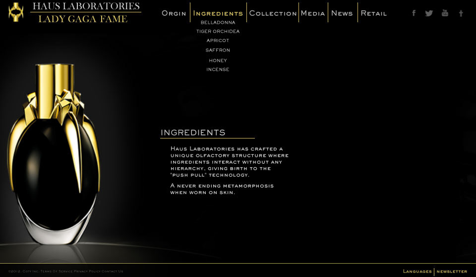 Website student project Lady Gaga perfume the fame