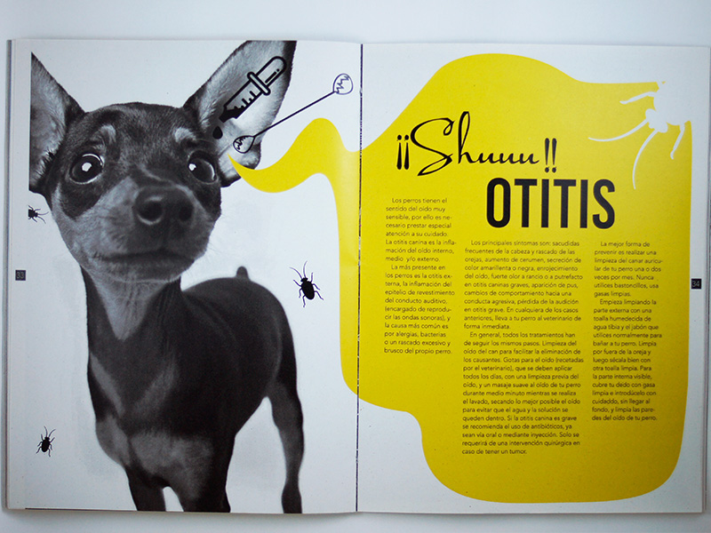 animales diseño gráfico Medios editoriales revista creative perros