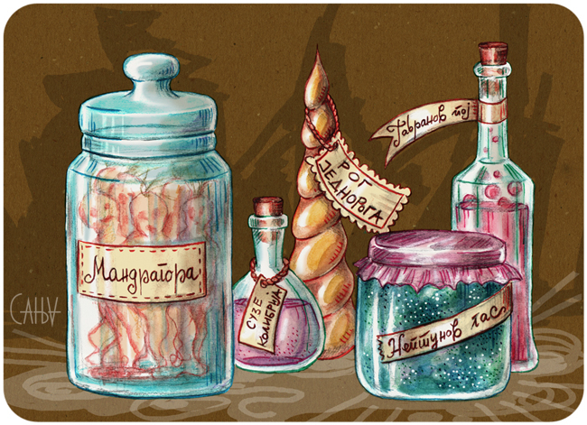 wizard Magic   fantasy childrens book Magic Mushrooms bat owl moon magic potion glass jars