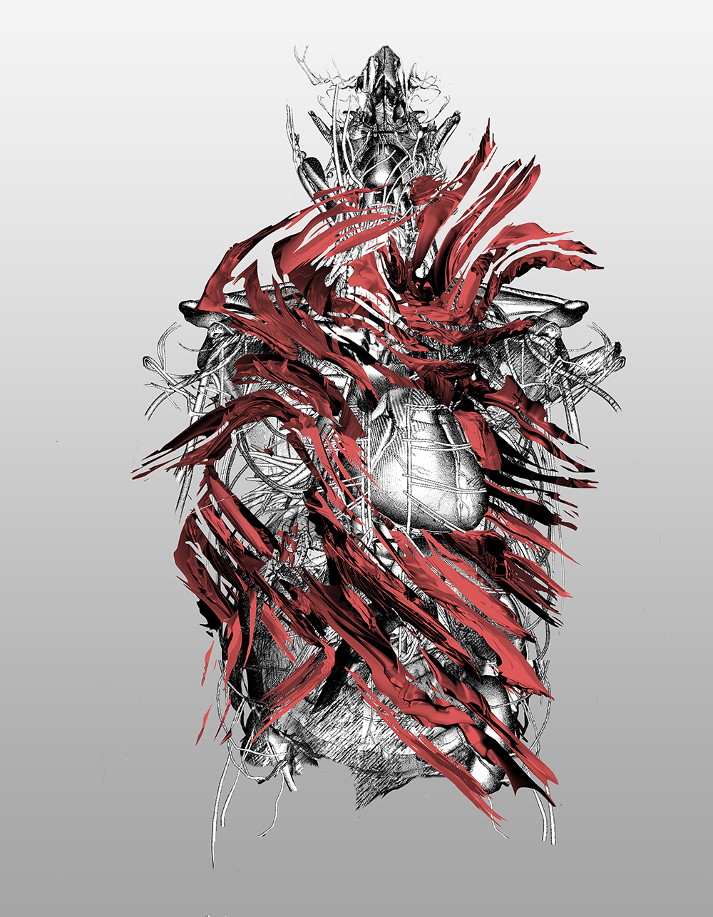 nastplas graphics 3D anatomy dark digital ad