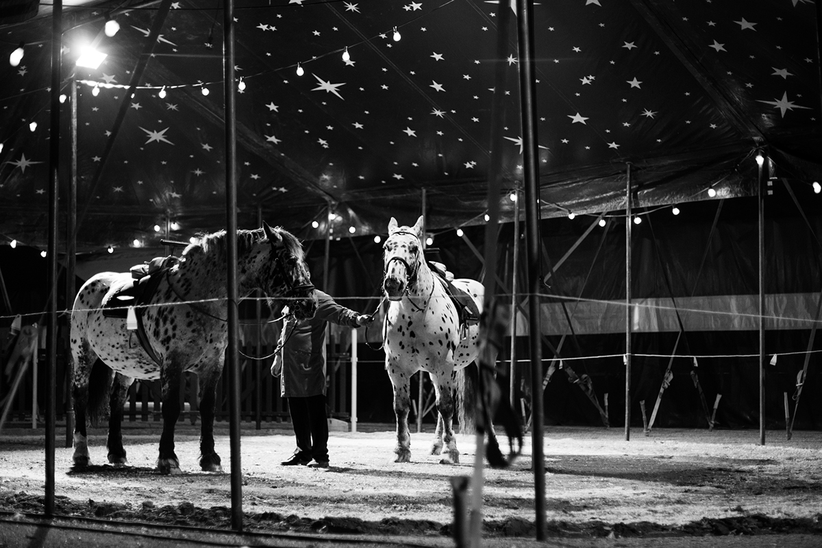 #circus #waiting #show #horses #people #ARTISTS #Helsinki #finland