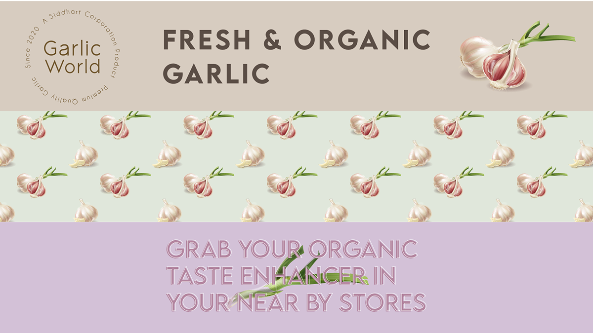 #garlic adobe illustrator adobephotoshop brand identity graphic design  Logo Design Packaging packaging design Rebranding Design Spices packaging