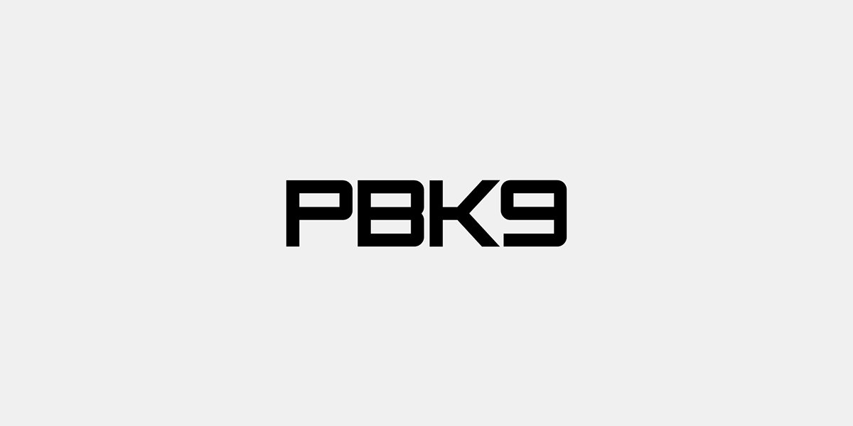 branding  identity logo stationary Website pbk9 skull art Association Urban