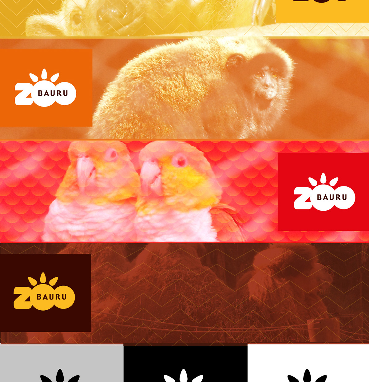 zoo bauru Conscientização educação Rebrand animal zoologico Logo zoo