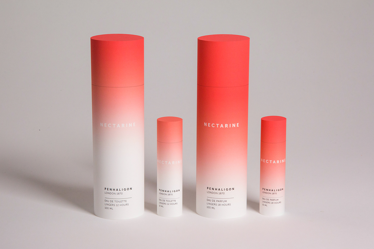 branding  Packaging perfume adobeawards typography   gradient color product Photography  gradation