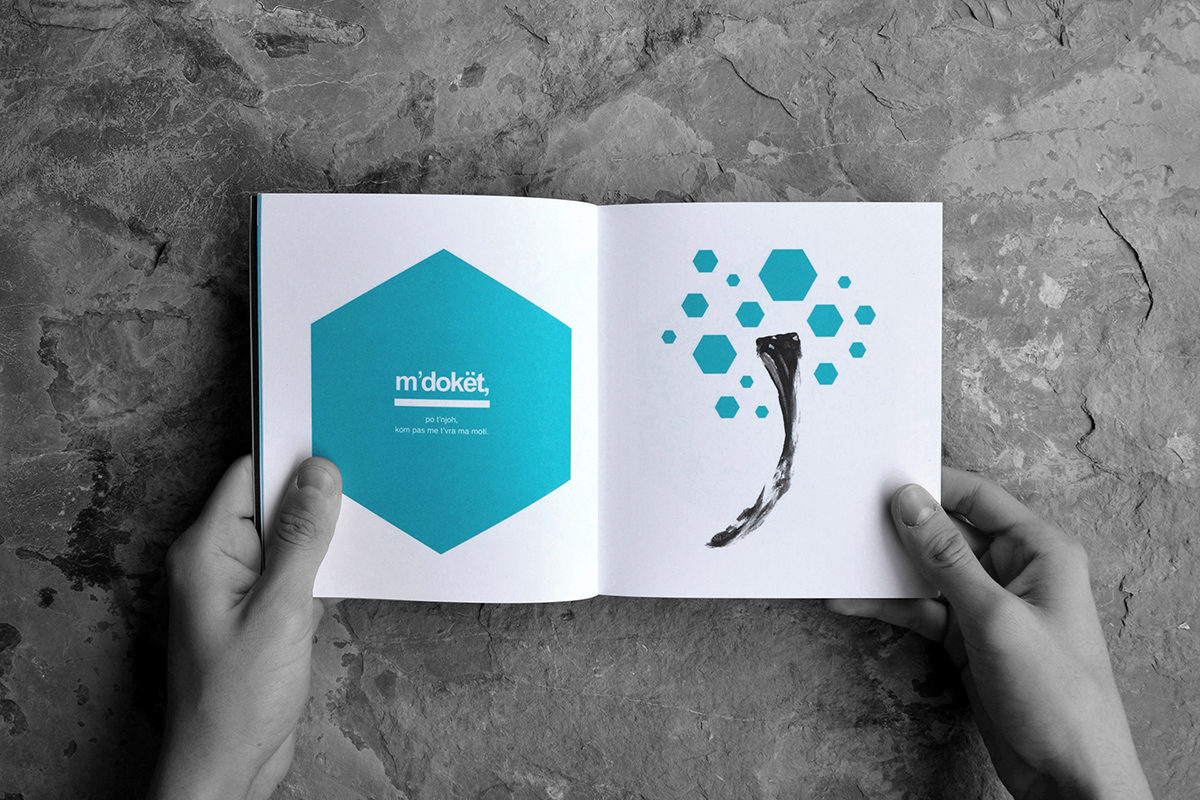 book design Bookdesign drawings ishulli alban fejza Project