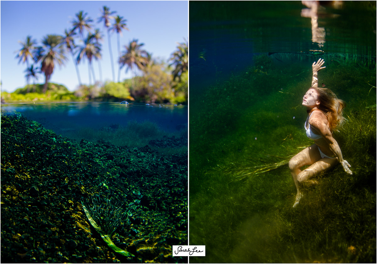 underwater woman underwater green grass HAWAII paradise Light rays surreal but real natural blur sarah lee photo big island kona bikini
